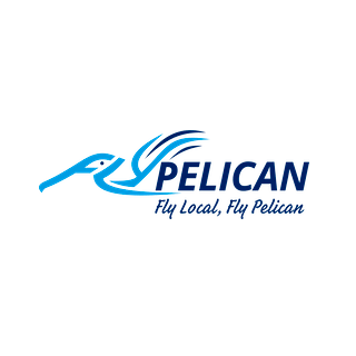 FlyPelican